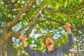 Gardena grensaks EnergyCut Pro L